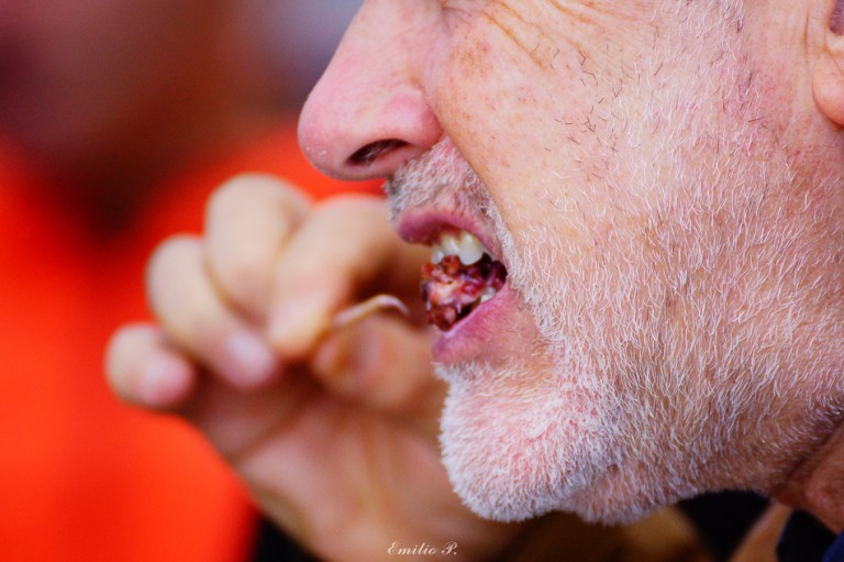 Olarro Eguna 2016 02